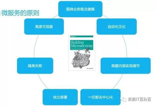 互聯網時代的SOA與微服務 演進與信息服務革新